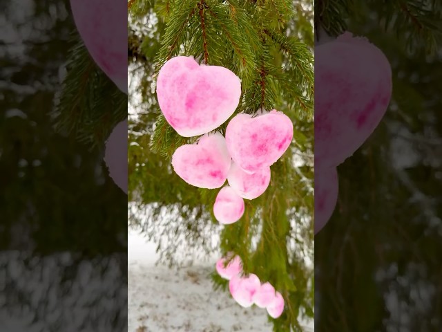 🍎മരംനിറയെ സ്നോ ഫ്രൂട്ട് #mallusinfinland #minivlog #positivevibes #familyvlog #dailyvlog #snow #