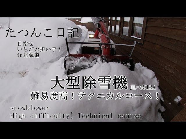 【新农夫】大雪犁难度！ 技术课！ [乡村生活]辰子日记