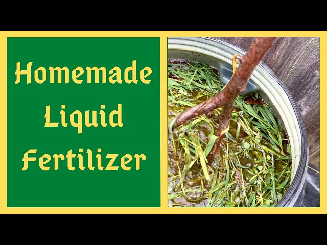 The Finest Natural Fertilizer - Homemade JADAM Liquid Fertilizer