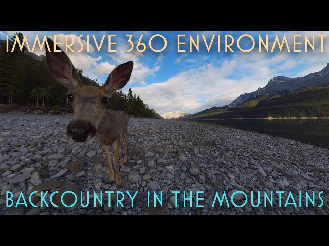 MEDITATE IN THE BACKCOUNTRY & GET KISSED BY A DEER! IMMERSIVE 360 VR NATURE VIDEO