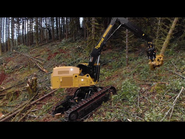 Tigercat LS855E in Oregon