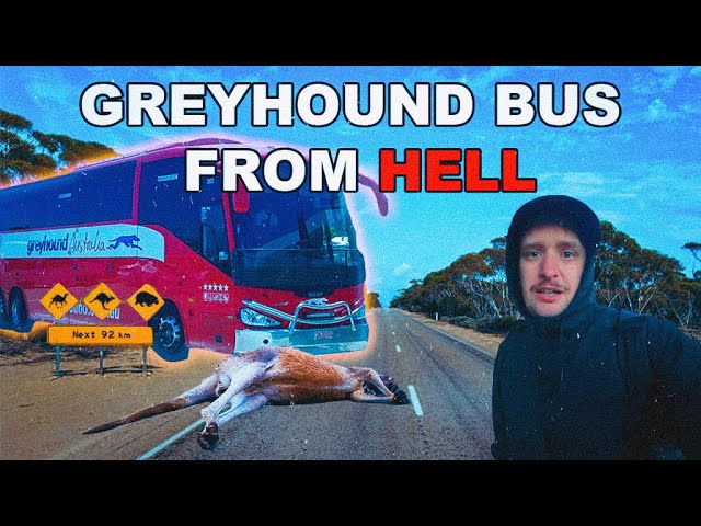 I Survived 22 Hours On A Greyhound Bus - Darwin to Alice Springs