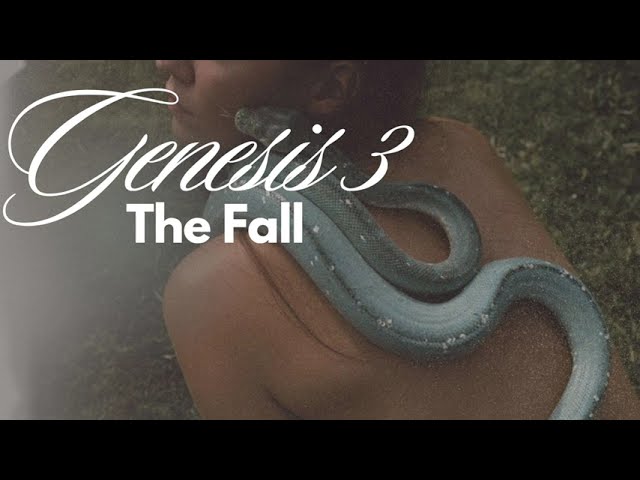 Genesis 3: The Fall | Bible Audio