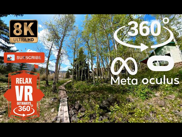 VR 360° 8k GETAWAYS // CABIN IN THE WOODS PATH