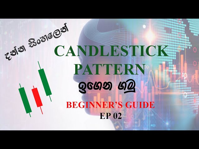 Complete Candlestick Pattern Trading Course For Beginners | Sinhala Tutorial | EP 02