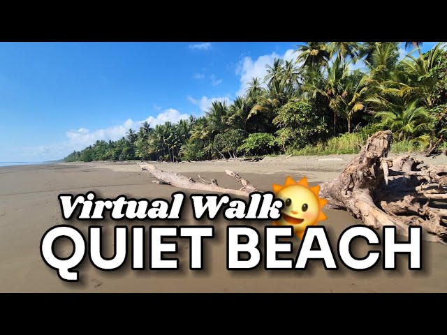 [4K][60fps] Virtual Walk Near Dominical 🌊 Secluded Beach For Treadmill Workout #walking #virtualtour