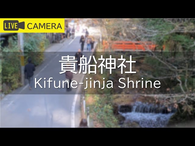 【LIVE】京都 貴船神社ライブ中継カメラ／Kifune-jinja Shrine, Kyoto Live camera