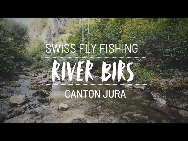 River Birs 🇨🇭 Fly Fishing in Switzerland