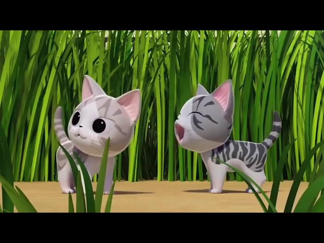 Kartu Lucu | Film Kartun Kucing Lucu