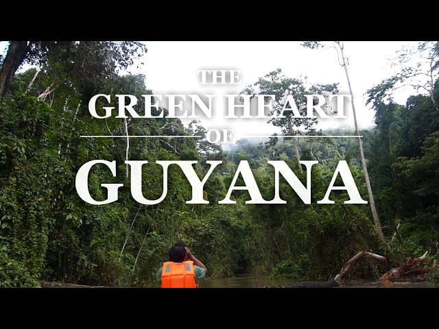 The Green Heart Of Guyana