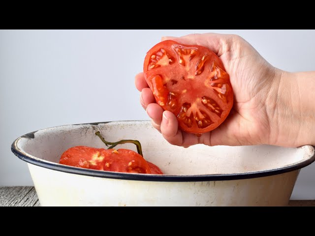 SAVING TOMATO SEEDS at home like a pro!