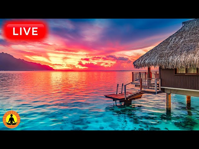 🔴 Relaxing Music 24/7, Stress Relief Music, Sleep Music, Meditation Music, Study, Calming Music