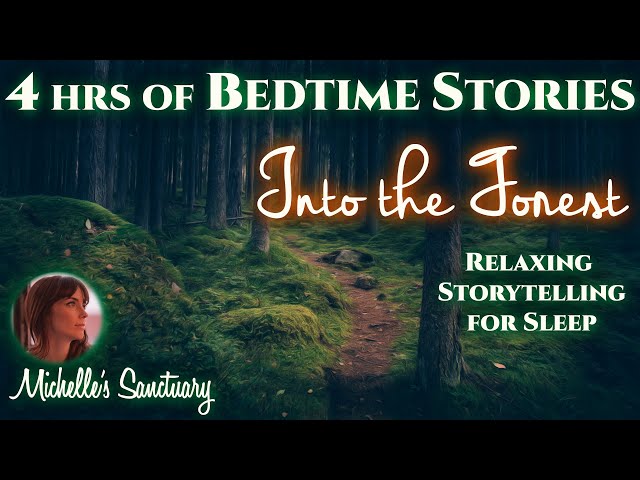 4 HRS Continuous Relaxing Stories for Sleep | INTO THE FOREST | Cozy Bedtime Stories for Grown-Ups