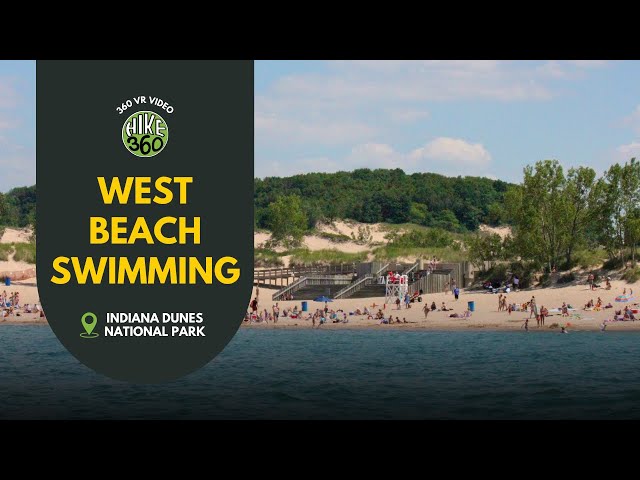 Indiana Dunes National Park - West Beach Swimming (360 VR Video)