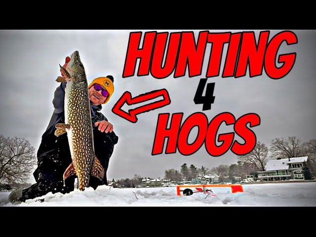 Michigan Pike SPEARING in DEEP WATER | HOG HUNT