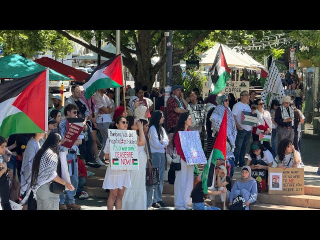 Free Palestine Rally in Canberra