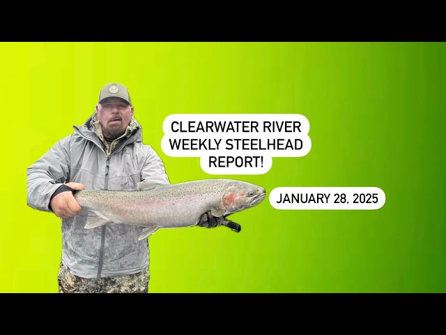 Clearwater River Weekly Steelhead Report 1/28/25: Keep it slow and catch fish!