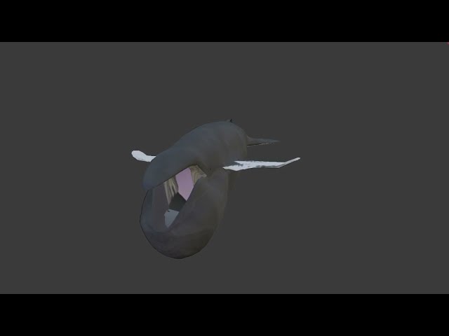 Prototype animation - feeding humpback whale