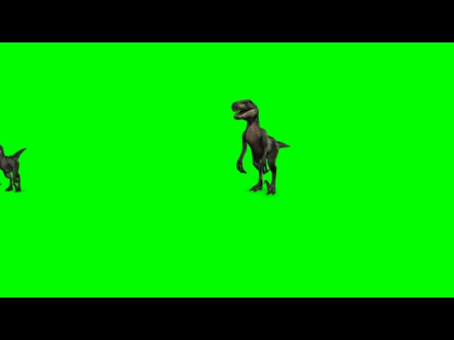 360 degree video - Velociraptor dinosaurs on green screen - free use