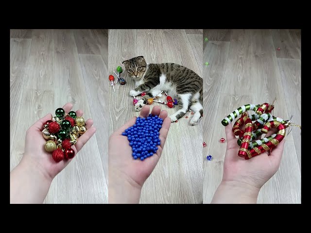 Cat Marbles Satisfying Reverse Video ASMR Funny Video