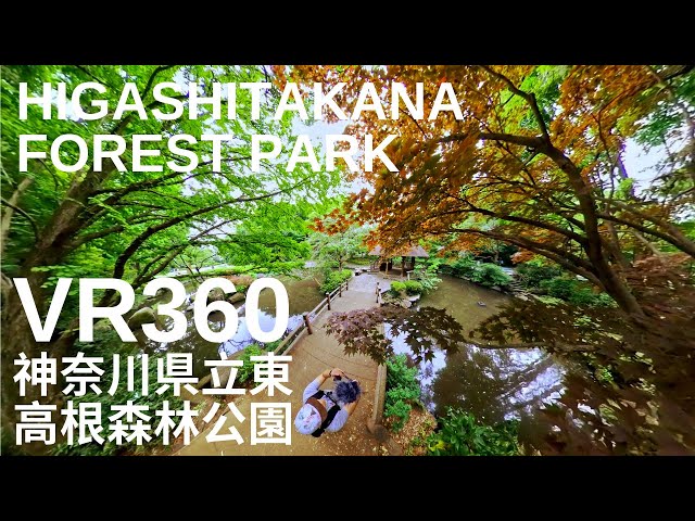 [ VR360 ] Tokyo's Forest Park - Higashitakane Kanagawa Kenritsu - 神奈川県立東高根森林公園