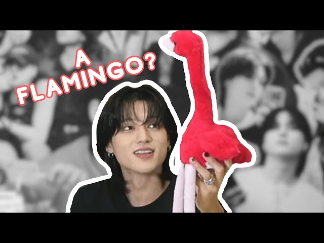 i can't BELIEVE mingi gave wooyoung an FLAMINGO as a BDAY GIFT