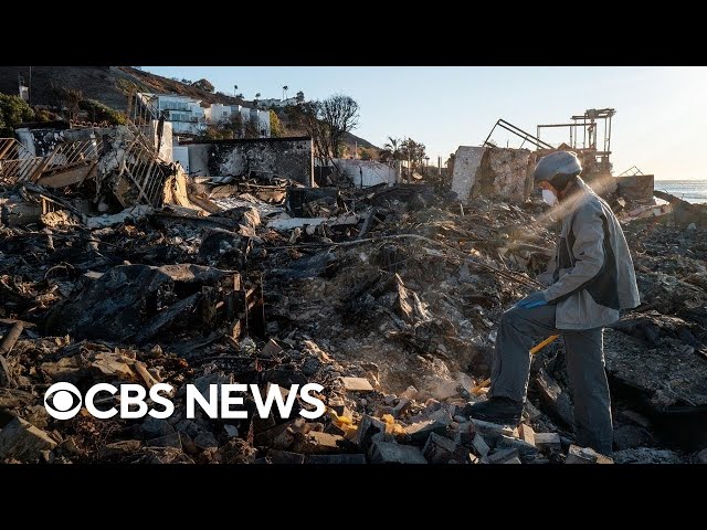 Thousands of Los Angeles homeowners dropped by insurers before wildfires