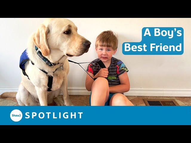 A Mother Supports her Autistic Son with a Service Dog