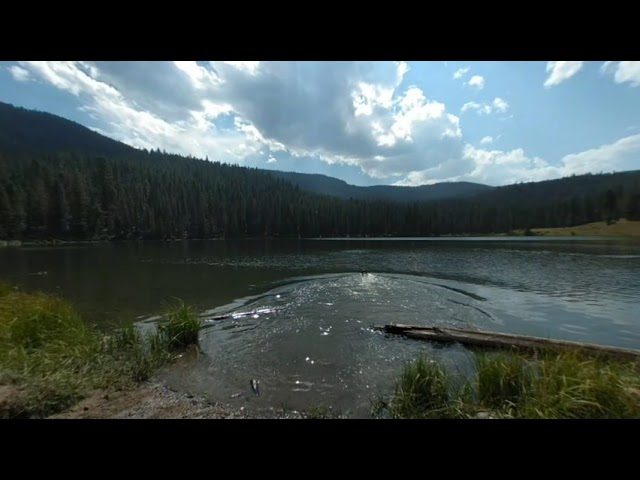 Gilli’s fetch adventures at Rat Lake