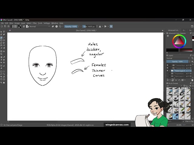 How To Draw Faces Workshop w Fei ✍ Winged Canvas × XPPen