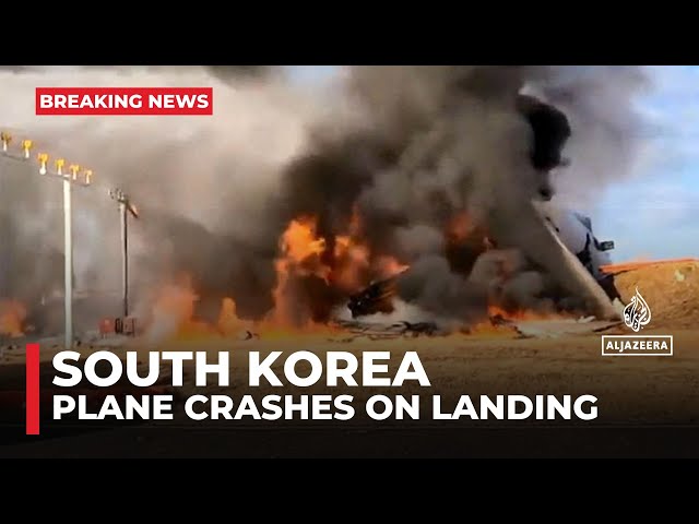 Dozens of passengers killed as plane crash-lands in South Korea