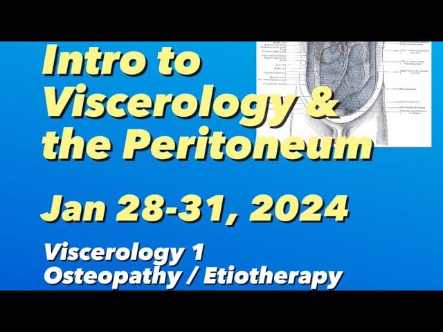 Introduction to Viscerology 1 Manual treatment of the Peritoneum and Stomach