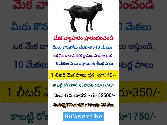 మేక వ్యాపారం ప్రారంభించండి #business #tips #telugu #shortvideo #shorts #goat  #trending #ytshorts