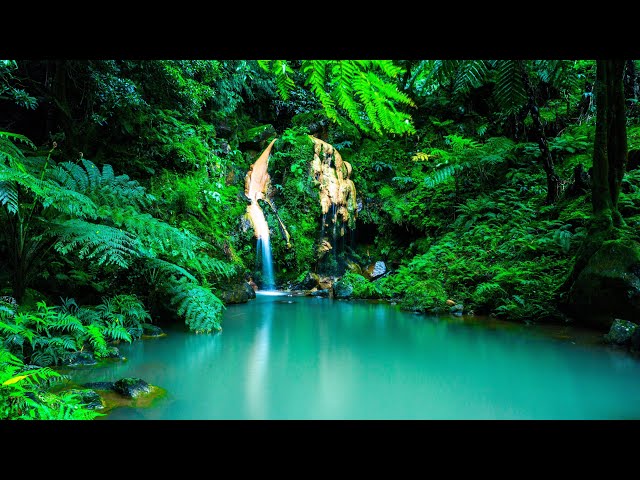 Relaxing Music Relieves Stress, Anxiety and Depression | Beautiful Relaxing Music Sleep Music