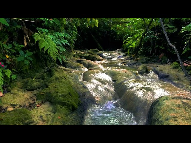 Relaxing Water Sounds: Waterfall for Stress Relief, Sleep, Yoga, Spa, and Meditation