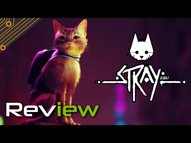 Stray Review