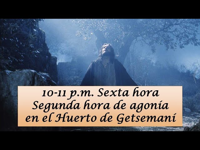 6. De 10-11 pm. Las 24 Horas de la Pasión de Nuestro Señor Jesucristo de Luisa Piccarreta