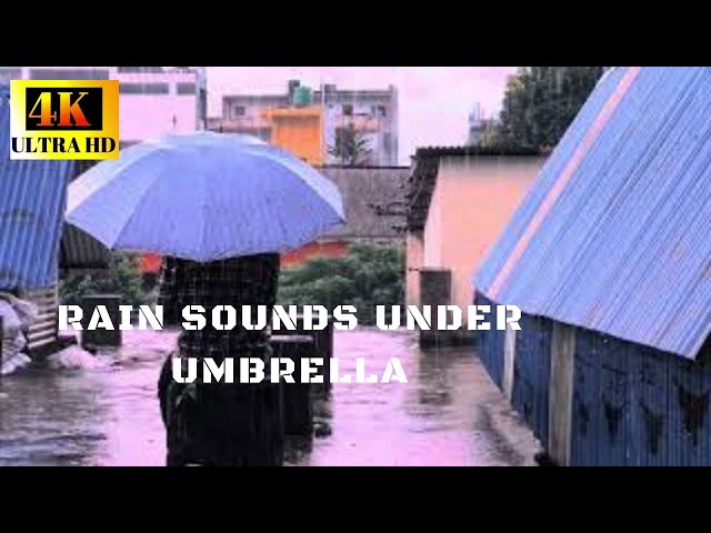 4k 1 Hour Relaxing Rain Sounds Under Umbrella - Rain Sounds to Sleep - Study - Relax - Stress Relief