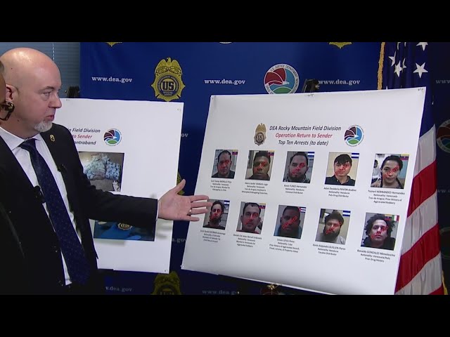 DEA special agent in charge addresses agency's work with immigration agents