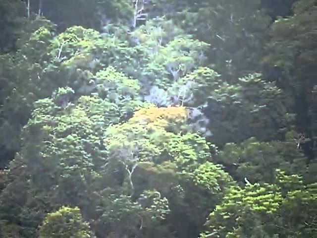 cablecar at langkawi