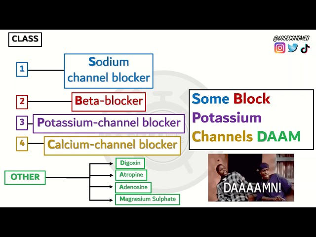 68 SECONDS on CLASSIFICATION of ANTI-ARRHYTHMIC DRUGS (With handy mnemonic!)