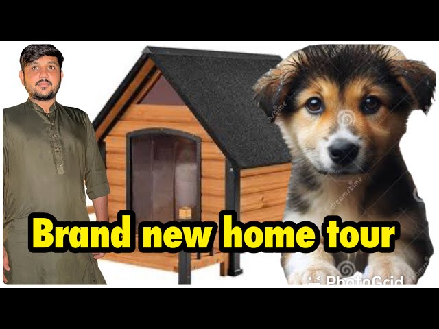 Brand new home tour | puppy 🐶 ka new ghar bana dia | puppy ko shower diya | .. babar akbar vlog