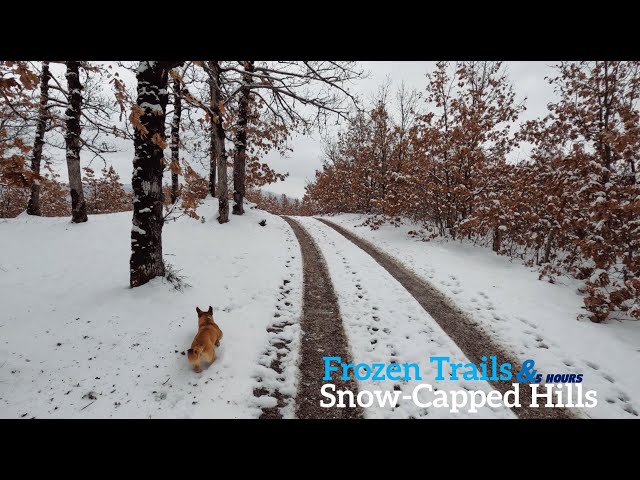 Frozen Hills & Forests: A 5 Hour Hiking Sequence Through Snowy Terrain