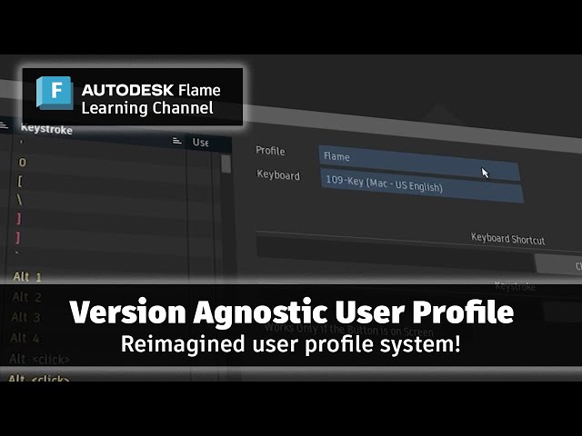 Version Agnostic User Profile - Flame 2025