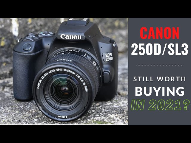 Canon EOS 250d - Still Worth Buying In 2021?