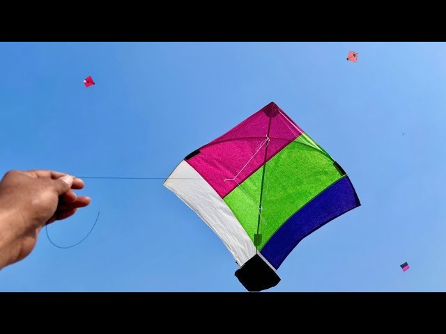 Kite Looting On Rooftop | Kite Catching | Kite Looti | Kite Caught