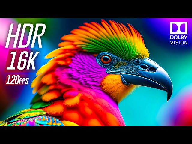 Mind-Blowing 16K HDR 120FPS Dolby Vision Demo