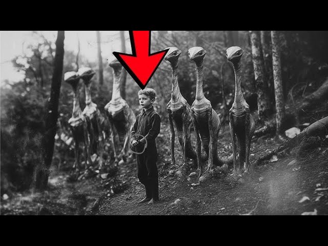 Shocking OLD PHOTOS That Will Leave You Speechless!