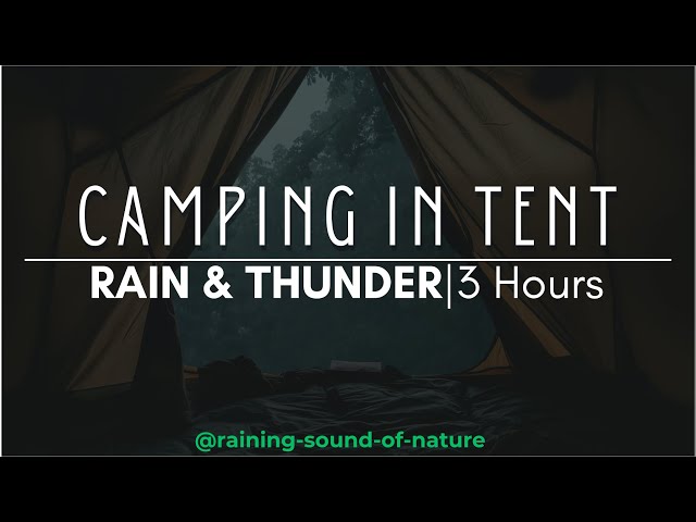 Camping in a Tent | Heavy Rain and Thunder Sounds for Sleep, Relaxation #livestream