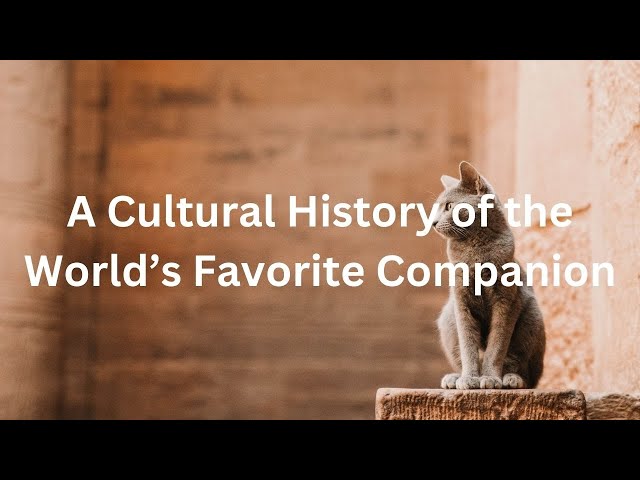 "A cultural history of the world's favorite companion" SUBTITLE #cute #cat #pets #funny #petmoments